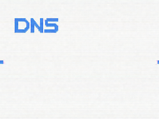 dns record
