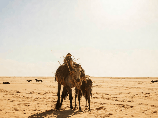 wordpress optimaliseren op een vps